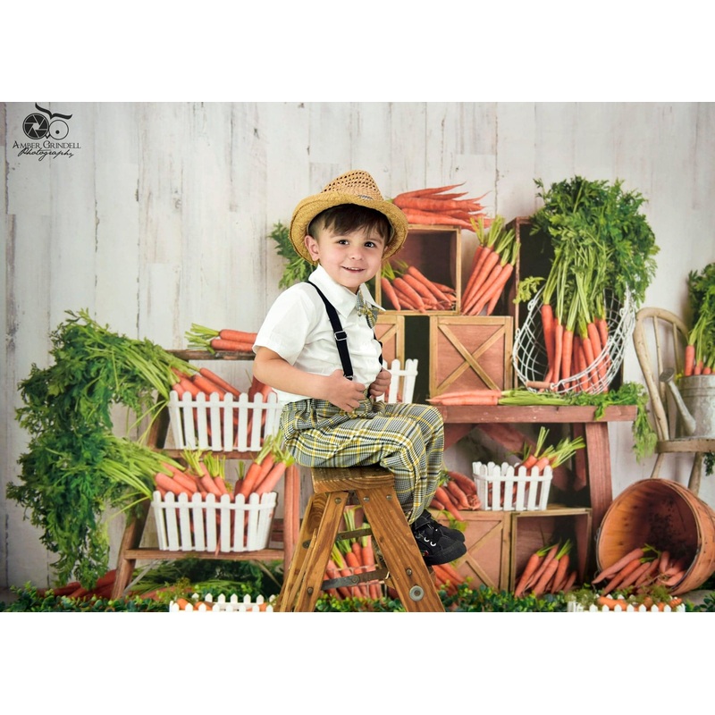 Kate SpringEaster Carrots Children Backdrop Designed By Mandy Ringe Photography 7x5ft - small kids sitting / cake smash Microfiber (Printed)