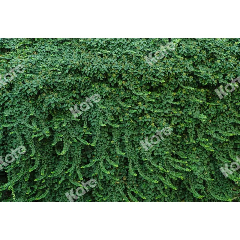 Kate Summer Plant Wall Backdrop Green Leaves Designed by Chain Photography 5x3ft - newborns and babies Microfiber (Printed)