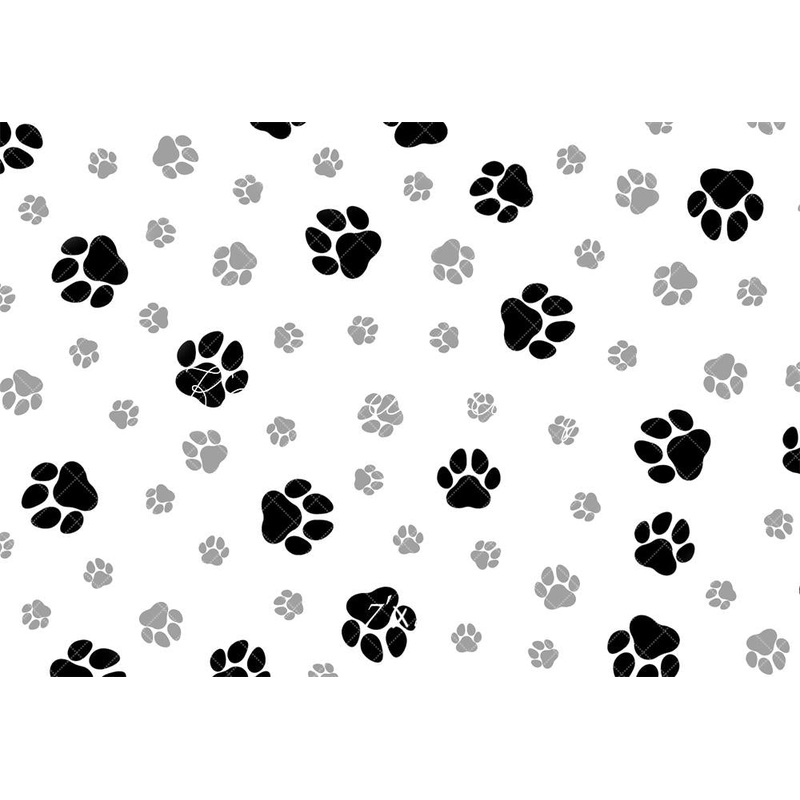 Kate White Black Paw Print Pattern Backdrop Designed by Mandy Ringe Photography Microfiber (Printed) 7x5ft - small kids sitting / cake smash