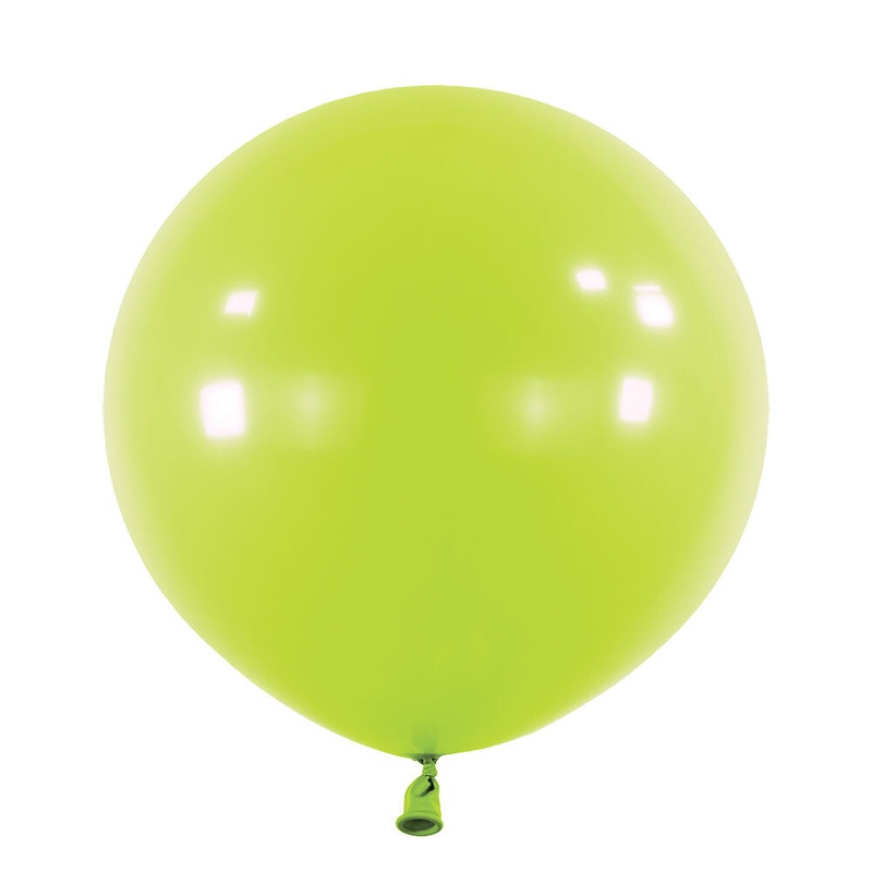 24" Fashion Kiwi (4 count)