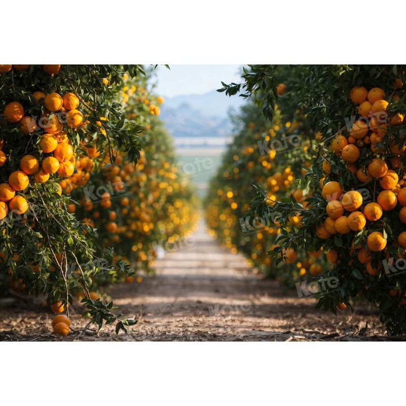 Kate Autumn Dirt Path With Orange Orchard Backdrop Designed by Chain Photography 7x5ft - small kids sitting / cake smash Microfiber (Printed)