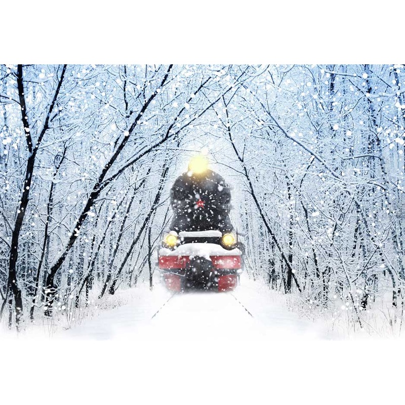 Kate Winter Snow Train Backdrop for Photography 5x3ft - newborns and babies Microfiber (Printed)