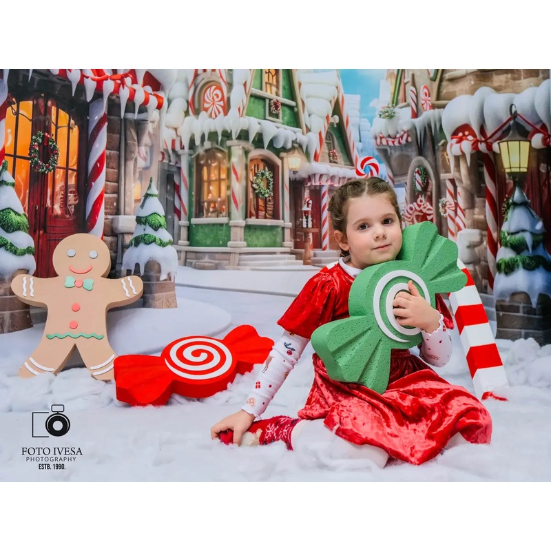 Kate Winter Christmas Town Backdrop Designed by Emetselch 7x5ft - small kids sitting / cake smash Microfiber (Printed)