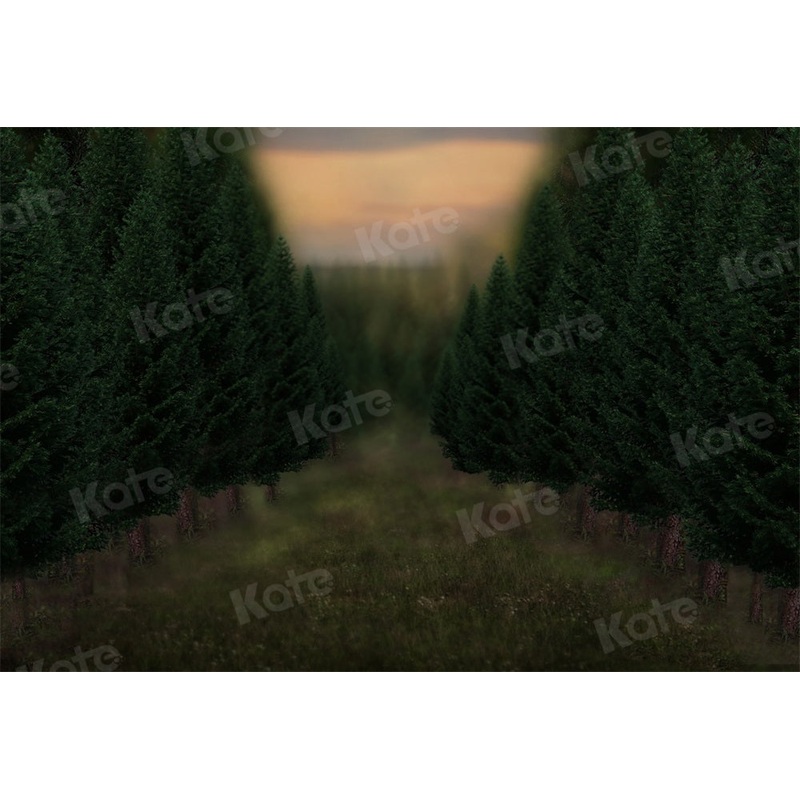 Kate Winter Backdrop Trees Road Grass Sunset for Photography 5x3ft - newborns and babies Microfiber (Printed)