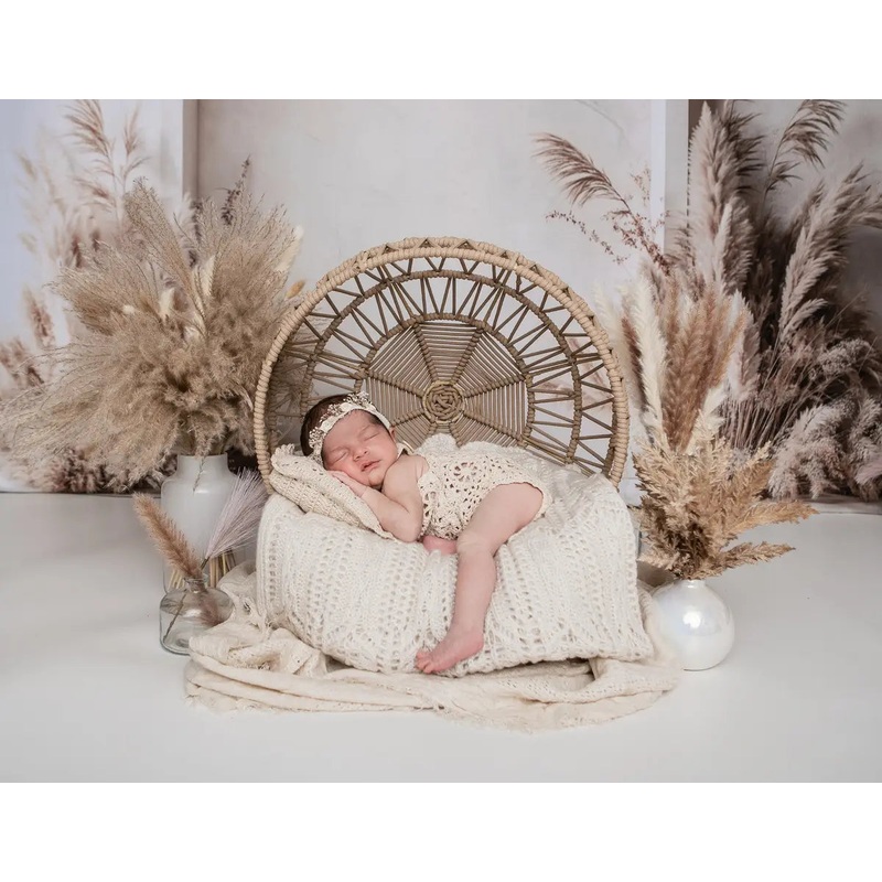 Kate Boho Arch Pampas Grass Backdrop Designed by Emetselch Microfiber (Printed) 7x5ft - small kids sitting / cake smash