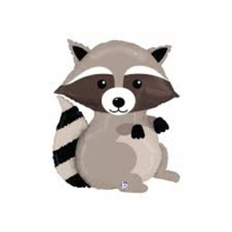 Woodland Raccoon 35176
