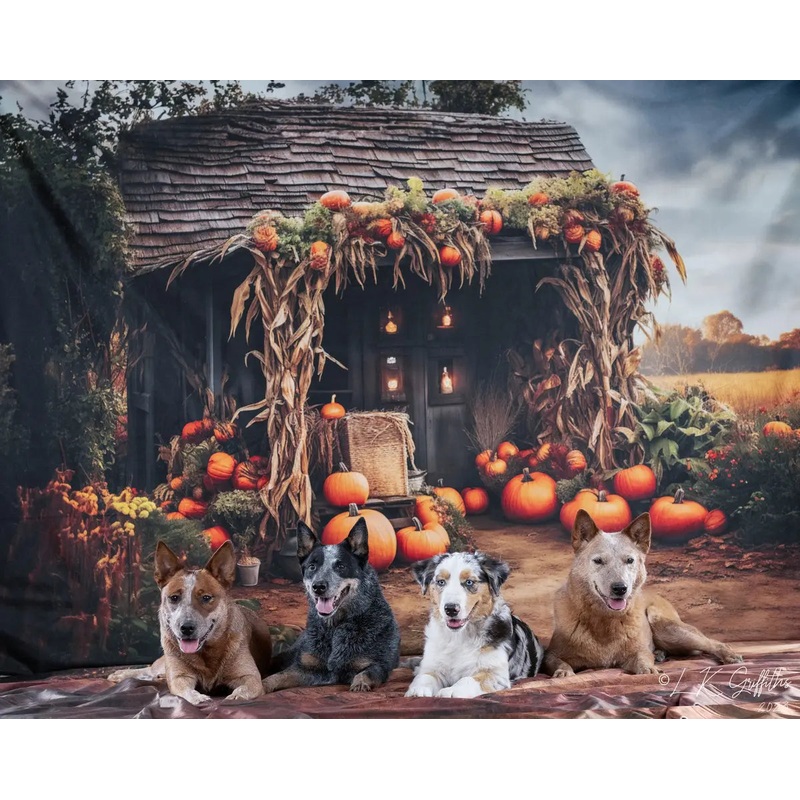 Kate Autumn Old Pumpkin House Backdrop for Photography 7x5ft - small kids sitting / cake smash Microfiber (Printed)
