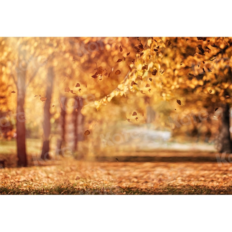 Kate Autumn Backdrop Leaves Golden Avenue for Photography 5x3ft - newborns and babies Microfiber (Printed)