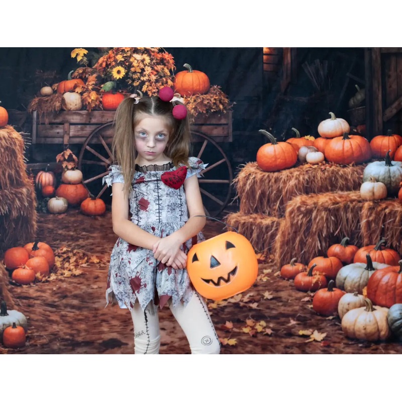 Kate Autumn Colorful Pumpkin Brown Wooden Barn Backdrop Designed by Chain Photography 7x5ft - small kids sitting / cake smash Microfiber (Printed)
