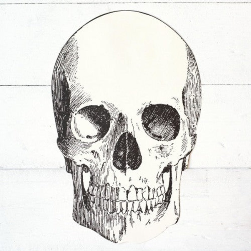 Die-Cut Skull Placemat  | 12 ct