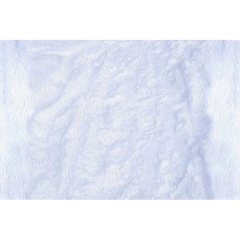 Kate Winter Snow Backdrop White for Photography 5x3ft - newborns and babies Microfiber (Printed)