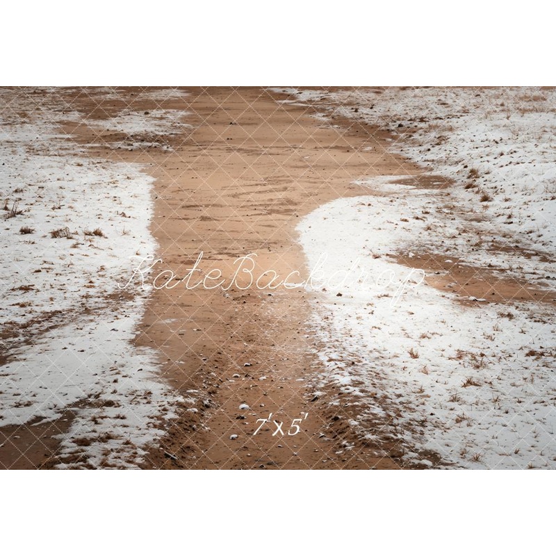 Kate Winter Snowy Path Backdrop Designed by Emetselch Microfiber (Printed) 7x5ft - small kids sitting / cake smash