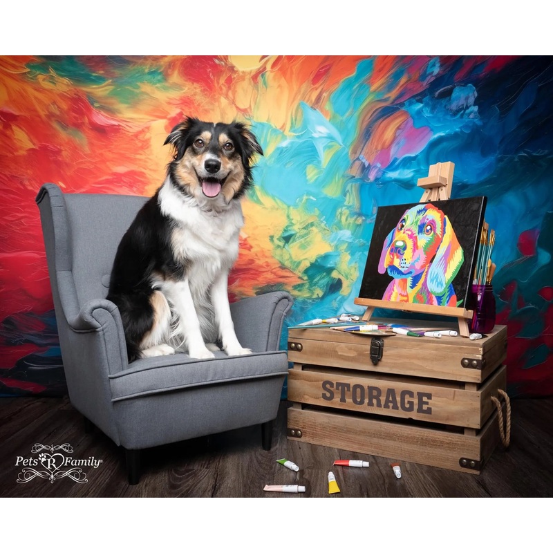 Kate Abstract Rainbow Paint Backdrop Designed by Mandy Ringe Photography 7x5ft - small kids sitting / cake smash Microfiber (Printed)