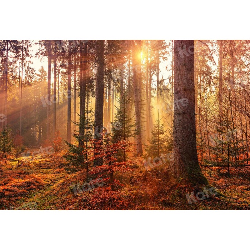 Kate Autumn Backdrop Forest Sun Light for Photography 5x3ft - newborns and babies Microfiber (Printed)