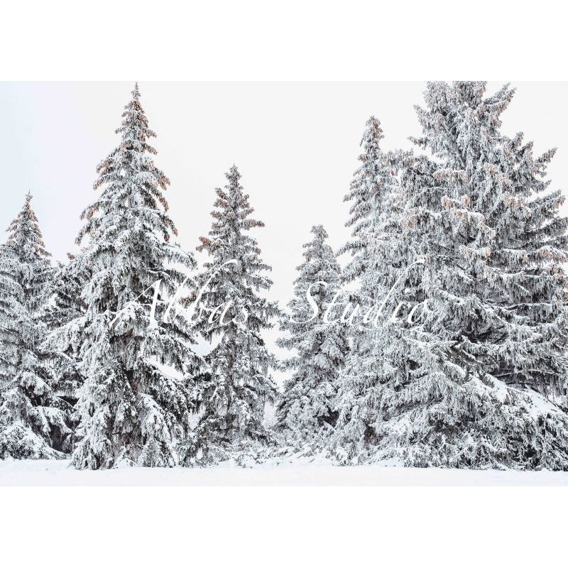 Kate Winter Trees Christmas Backdrop Designed by Abbas Studio 7x5ft - small kids sitting / cake smash Microfiber (Printed)
