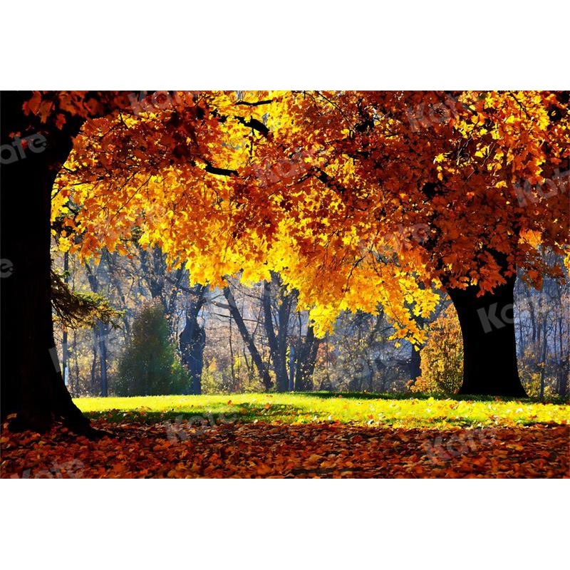Kate Autumn Backdrop Trees for Photography 5x3ft - newborns and babies Microfiber (Printed)