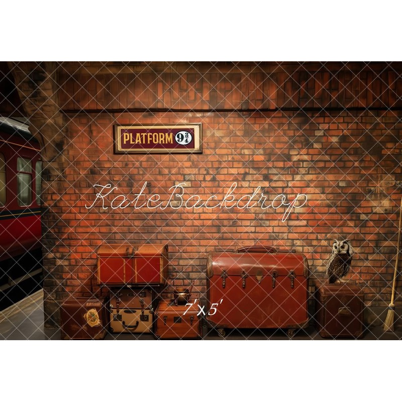 Kate Wizard Train Station Platform Brick Backdrop Designed by Patty Roberts Microfiber (Printed) 7x5ft - small kids sitting / cake smash