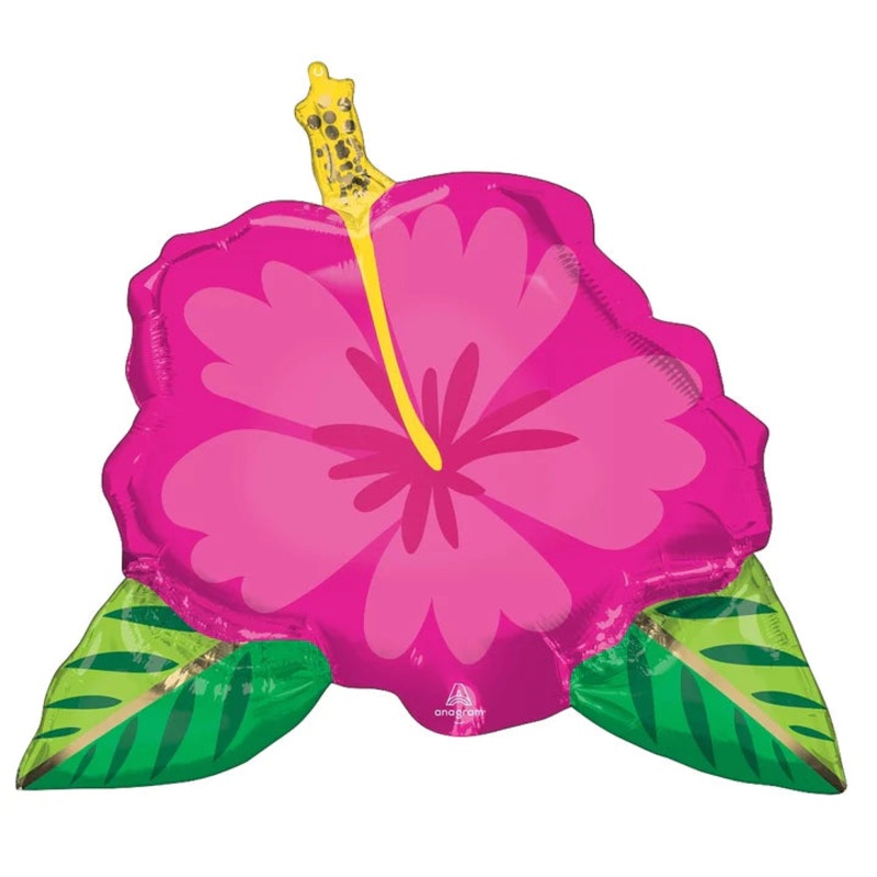 Beautiful Tropical Hibiscus 4267101