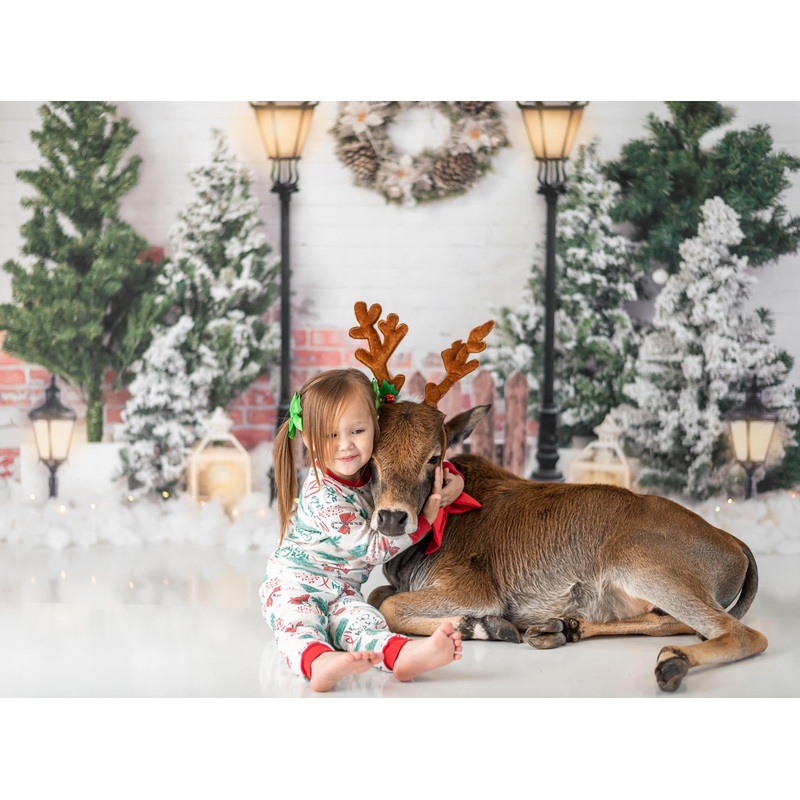 Kate Xmas Backdrop Christmas Garden with Lights Designed by Emetselch 7x5ft - small kids sitting / cake smash Microfiber (Printed)