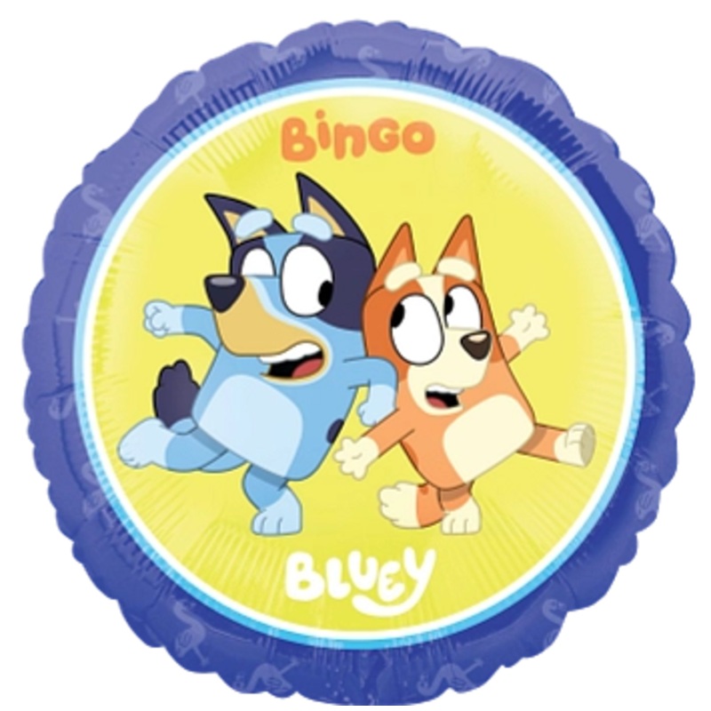 Bluey & Bingo 43024