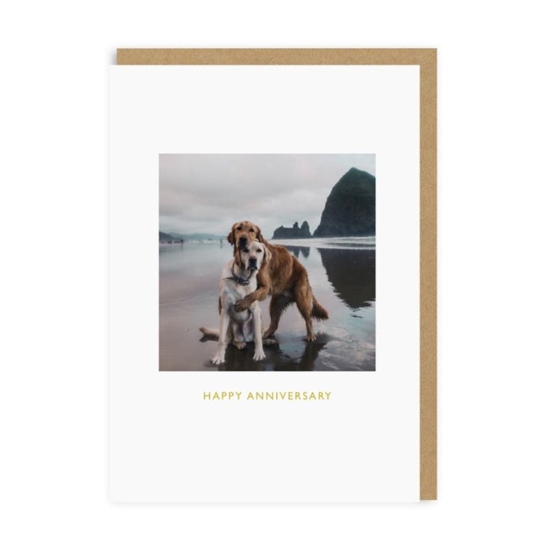 Anniversary Beach Dogs Card