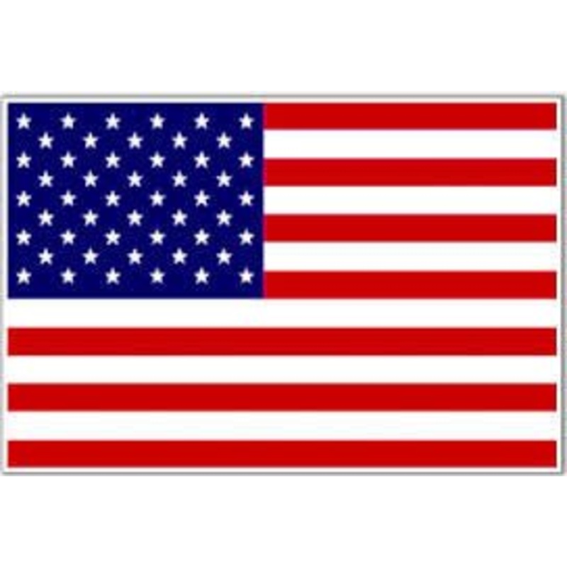 United States Flag with Stick | 4" x 6"
