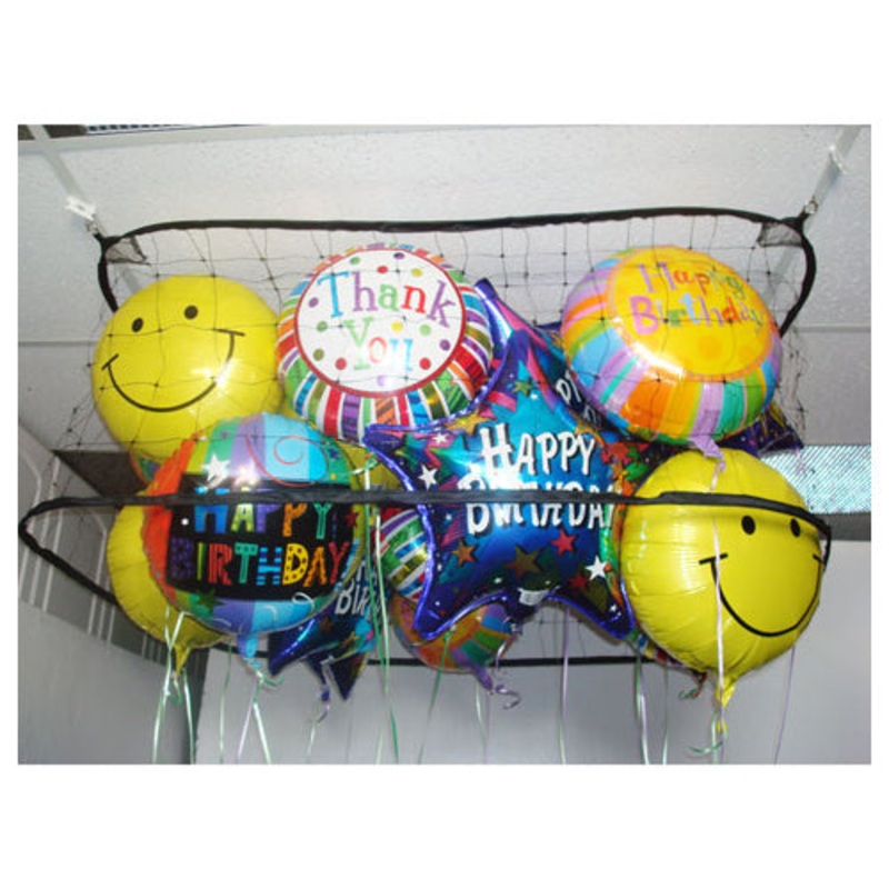 Balloon Corral - 4ft4ft Square