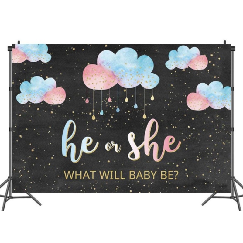What Will Baby Be 5x7 Backdrop