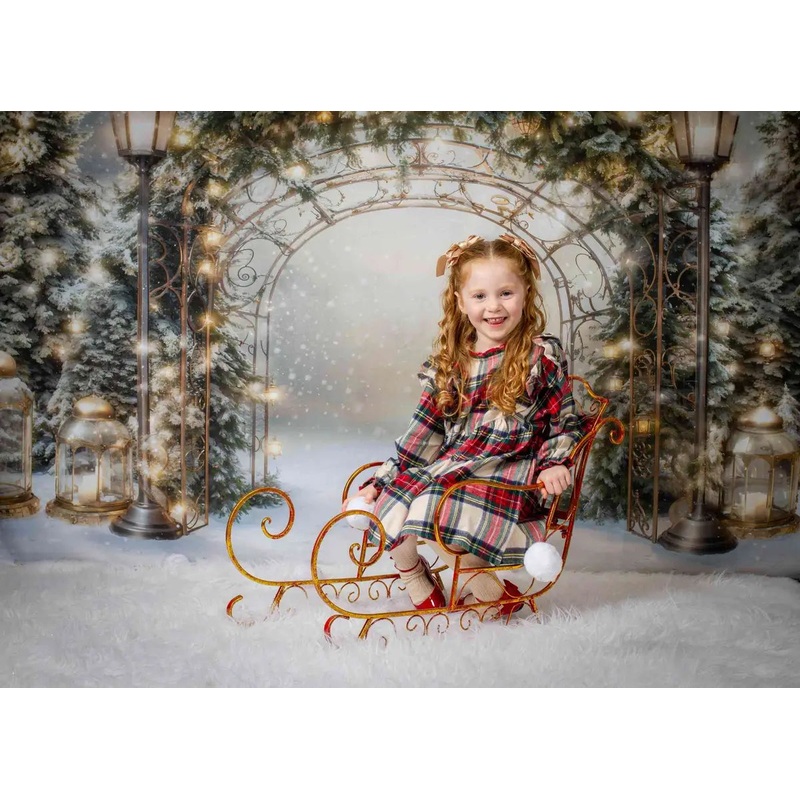 Kate Winter Christmas Branch Arch Backdrop Designed by Emetselch 7x5ft - small kids sitting / cake smash Microfiber (Printed)