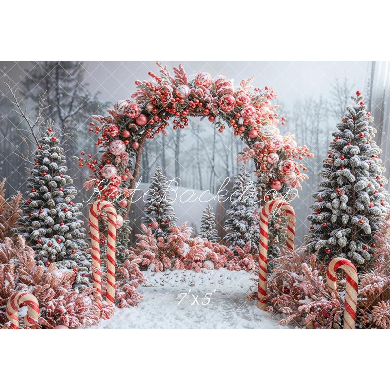 Kate Winter Forest Christmas Tree Beautiful Red Decoration Arch Backdrop Designed by Emetselch 7x5ft - small kids sitting / cake smash Microfiber (Printed)