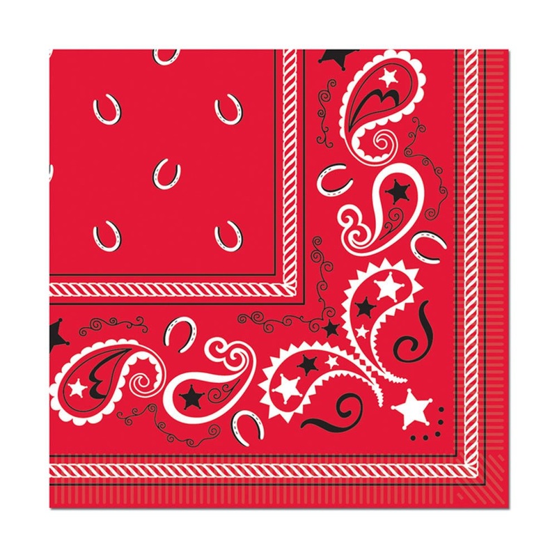 Bandana Lunch Napkins | 16 ct