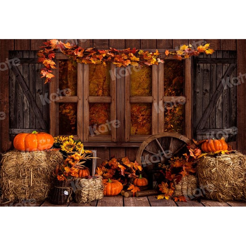 Kate Autumn Backdrop Barn Farm Pumpkins for Photography 5x3ft - newborns and babies Microfiber (Printed)