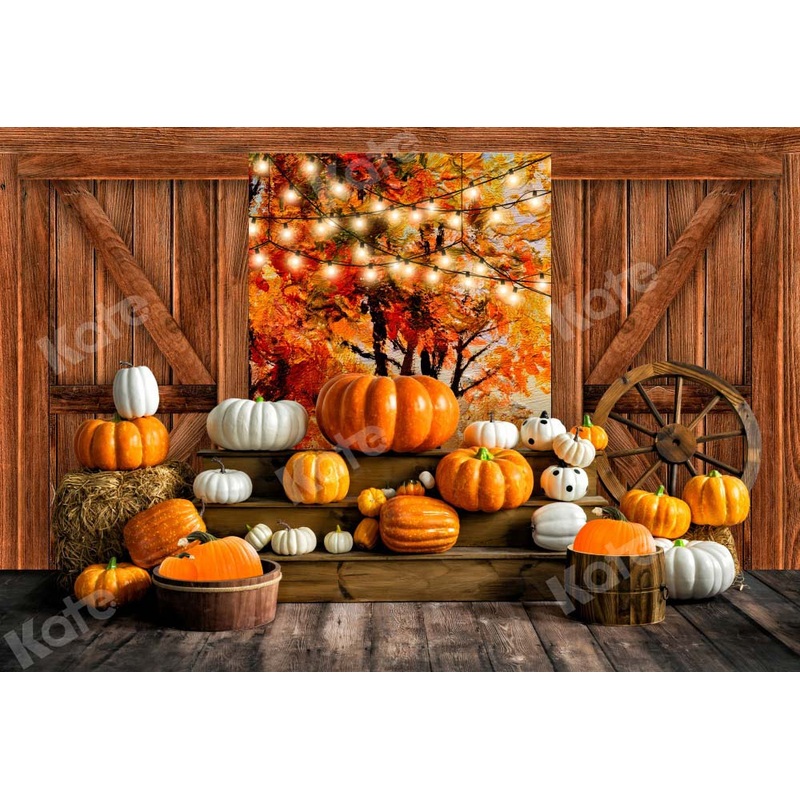 Kate Autumn Backdrop Pumpkins Barn Door Out Window Designed by Emetselch 5x3ft - newborns and babies Microfiber (Printed)