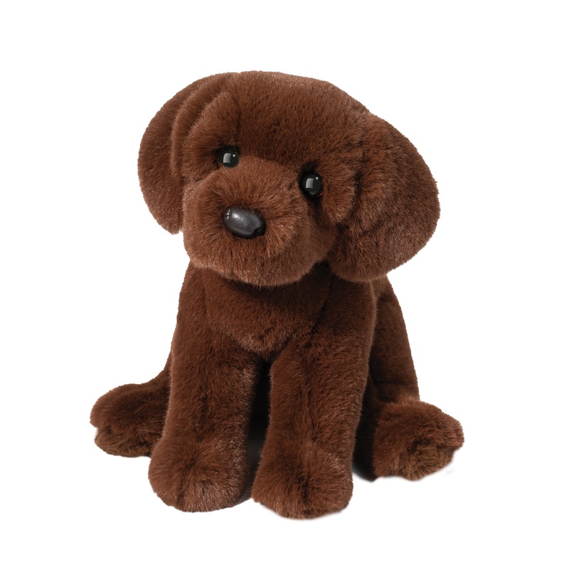 Zoom Chocolate Lab