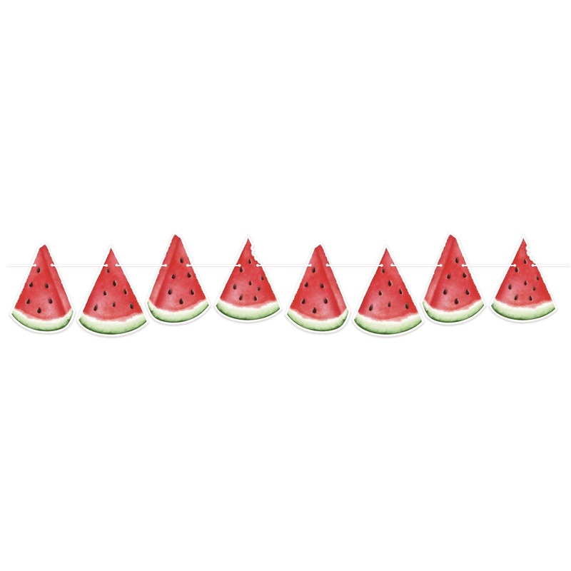 Watermelon Streamer 6 x 5