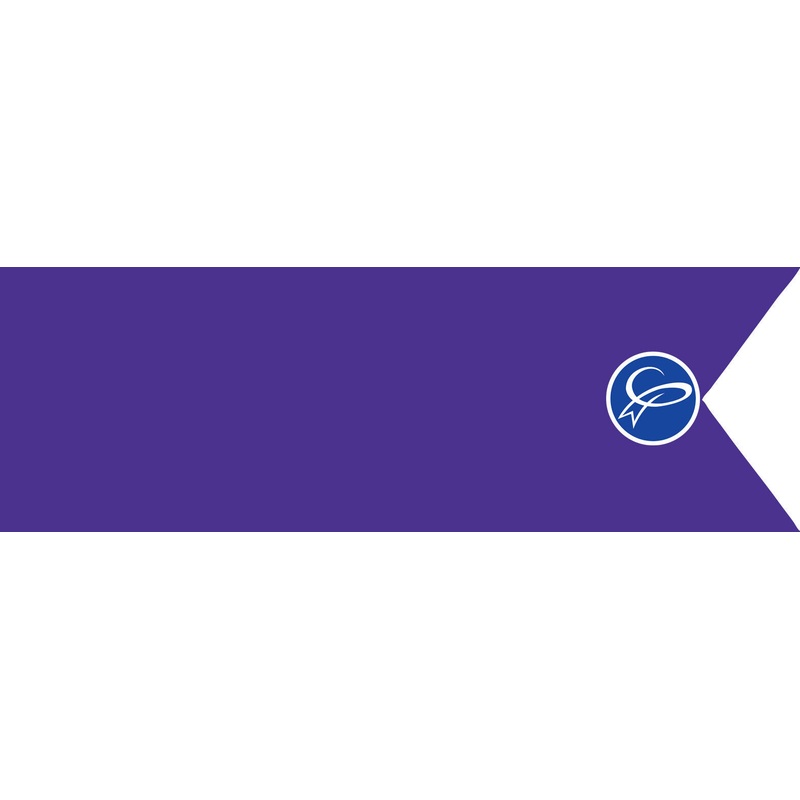 200yd Poly Ribbon 40 - Quartz Purple