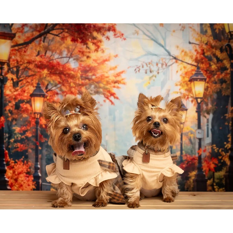 Kate Fall Maple Forest Path Backdrop Designed by Emetselch 7x5ft - small kids sitting / cake smash Microfiber (Printed)